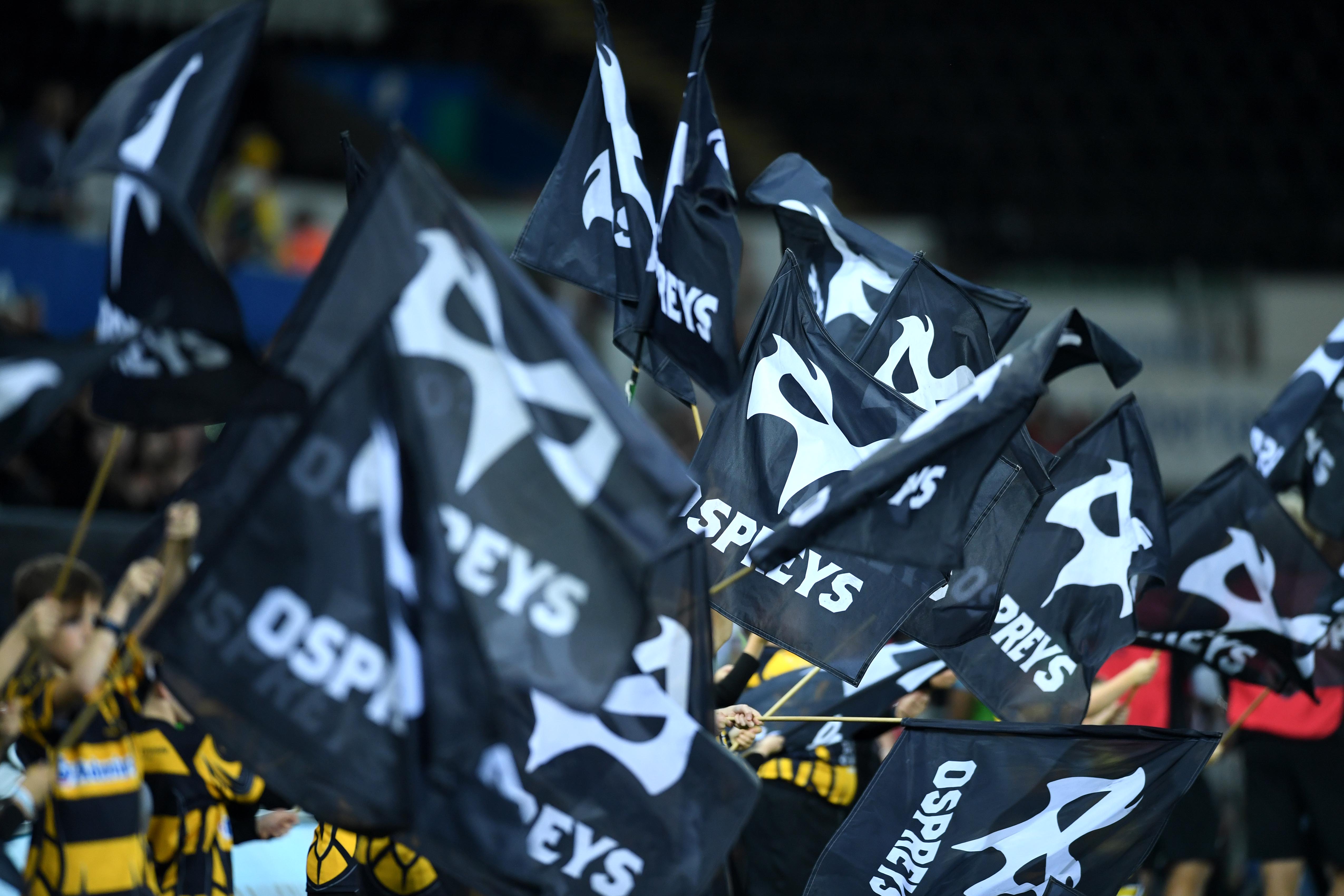 Ospreys flags