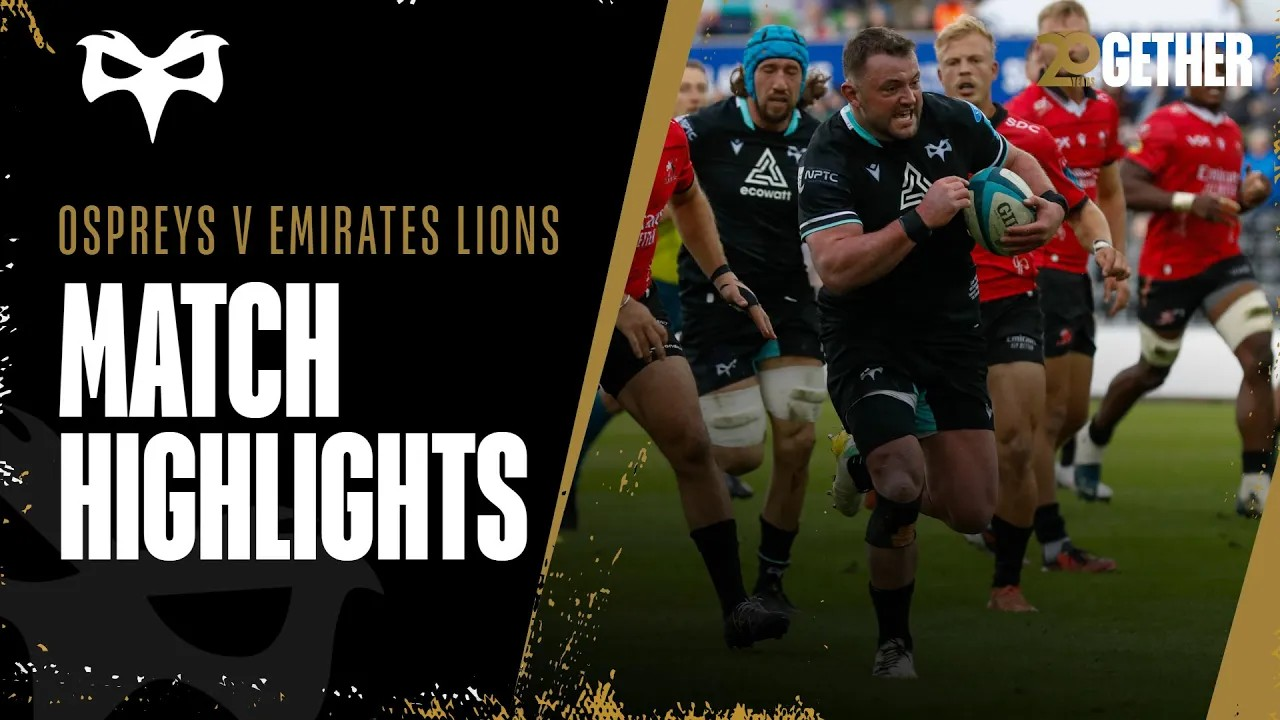Lions Highlights