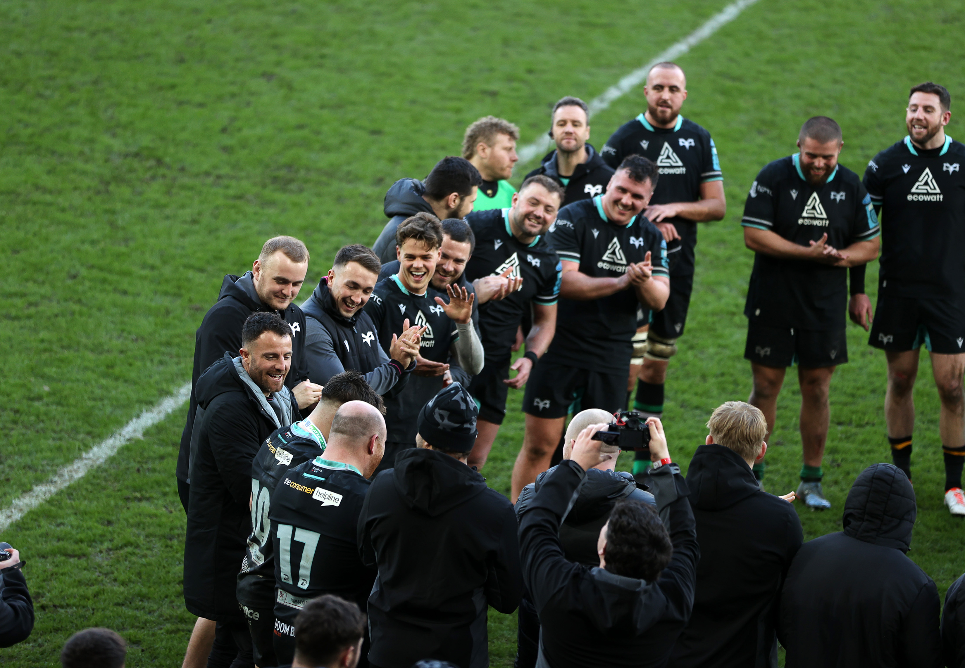 Ospreys huddle