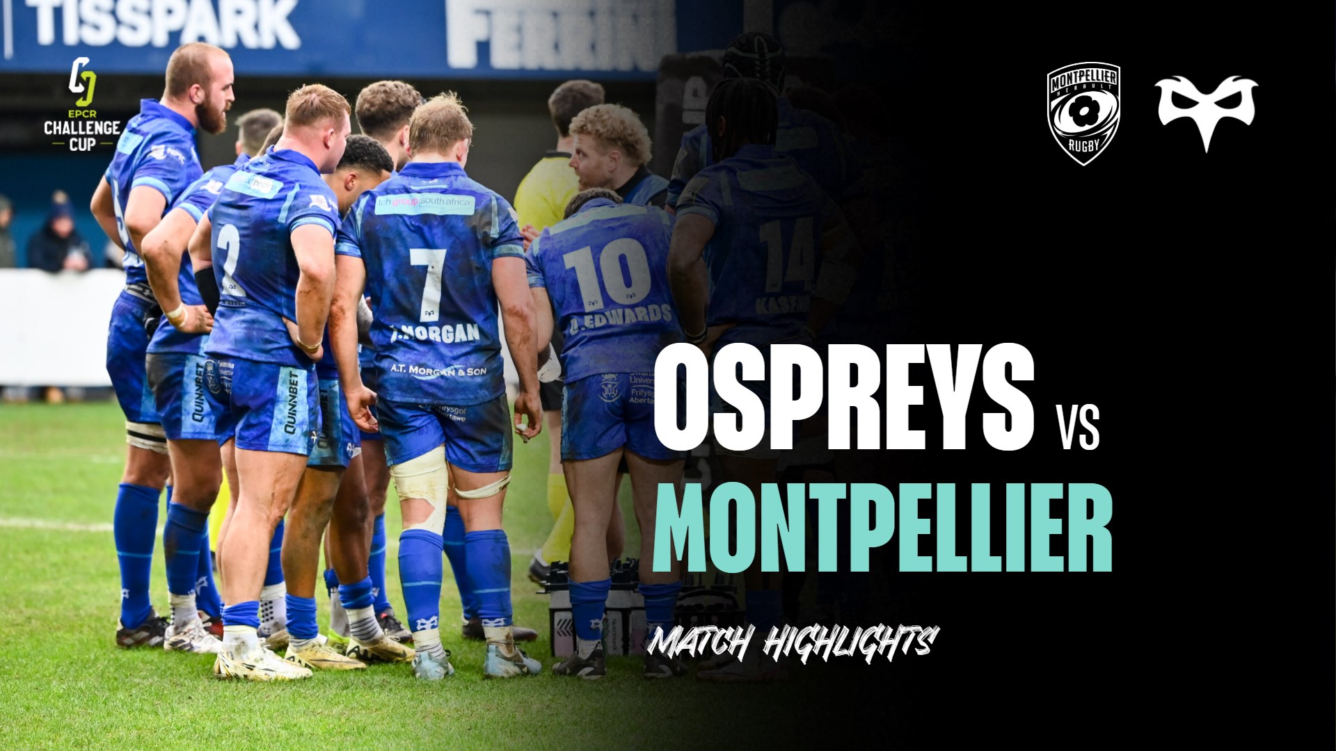 Ospreys Montpellier Highlights 