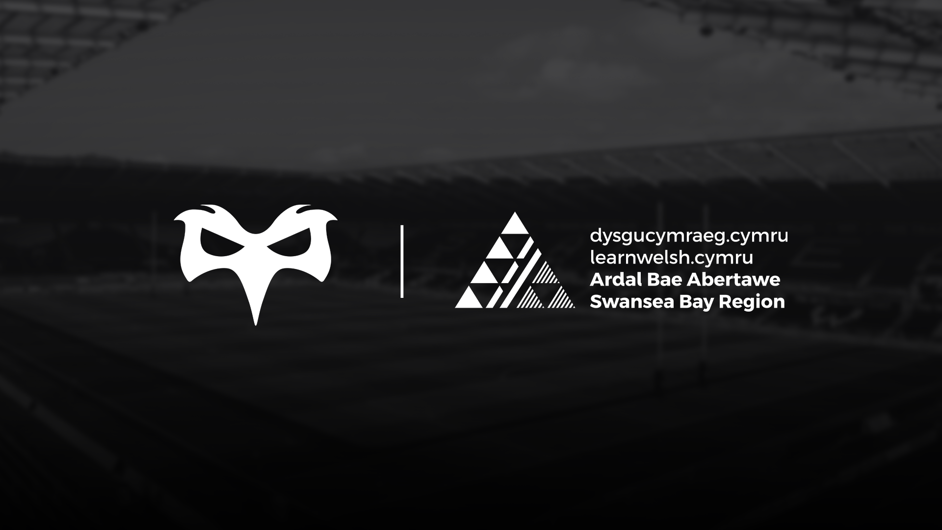 Ospreys | Learn Welsh Swansea Bay