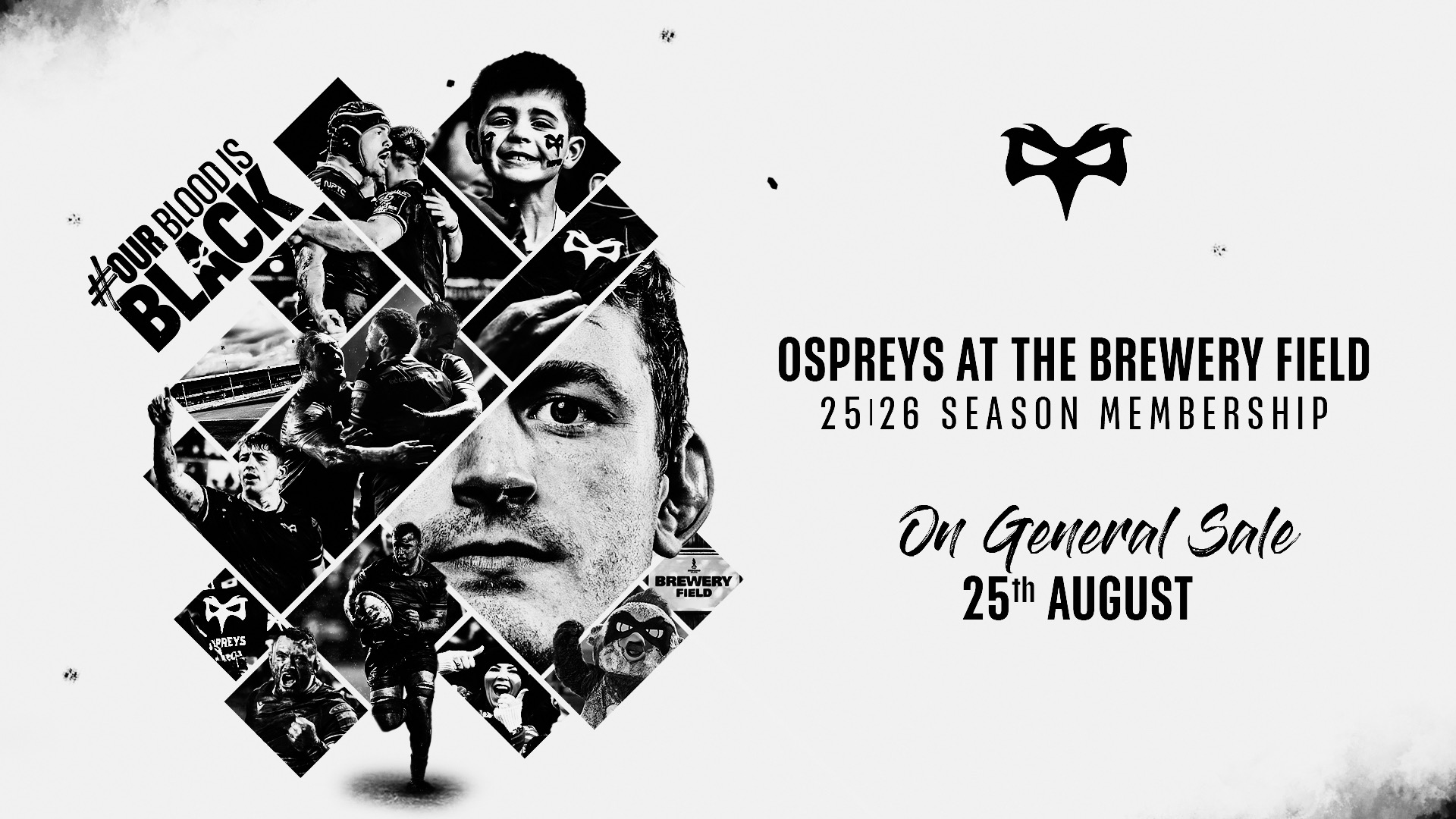 SM General Sale August 25th