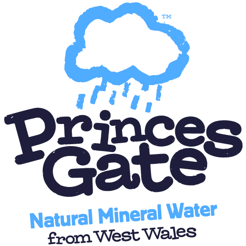 Princes Gate Logo