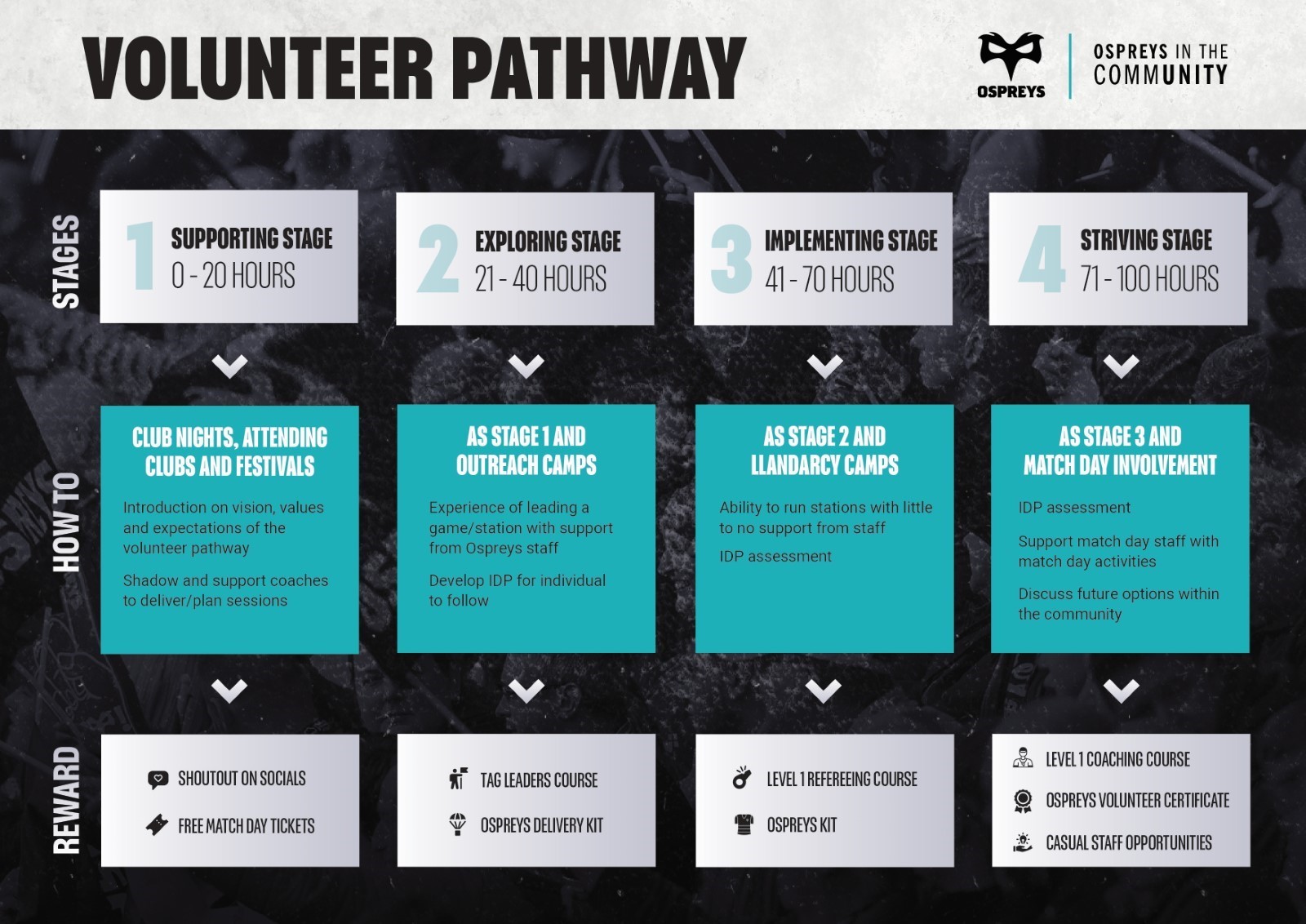 Ospreys Volunteering Pathway
