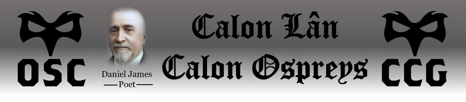 Calon Ospreys 
