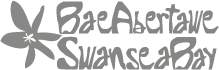 Visit Swansea Bay grayscale 
