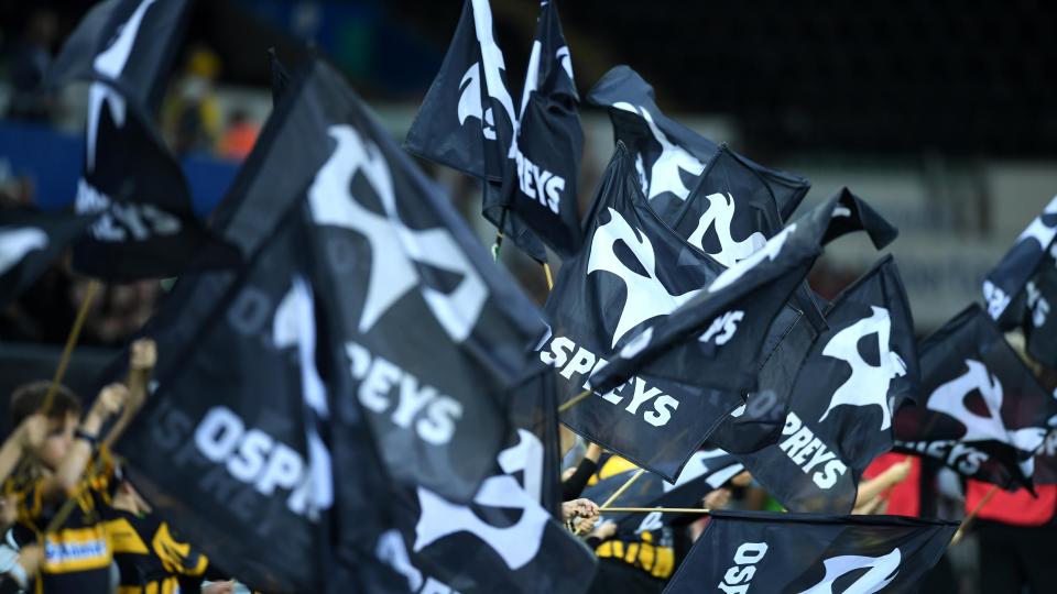 Ospreys flags