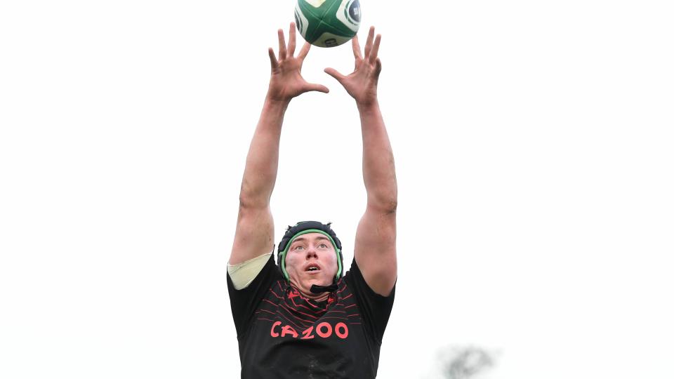 Beard Wales Training