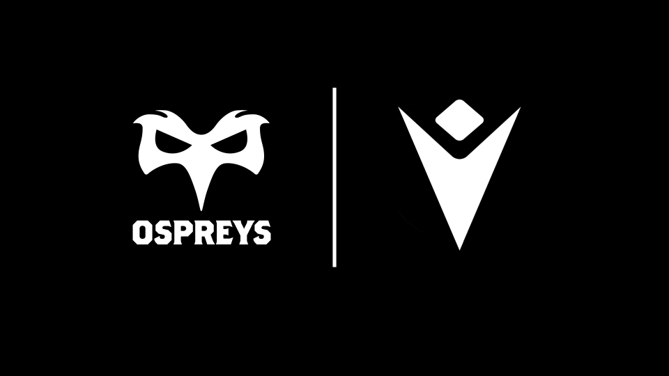 Ospreys