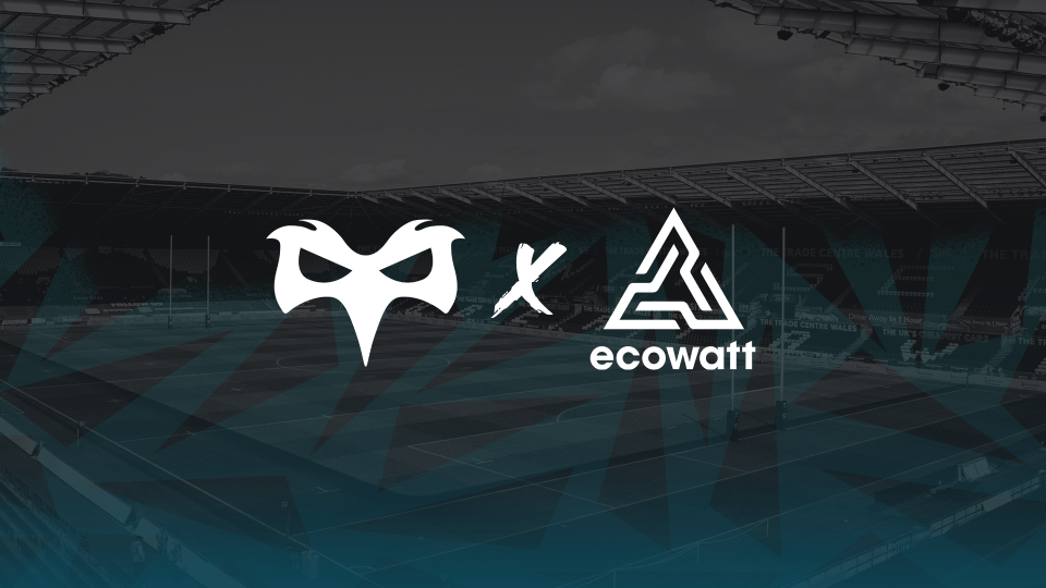 ecowatt
