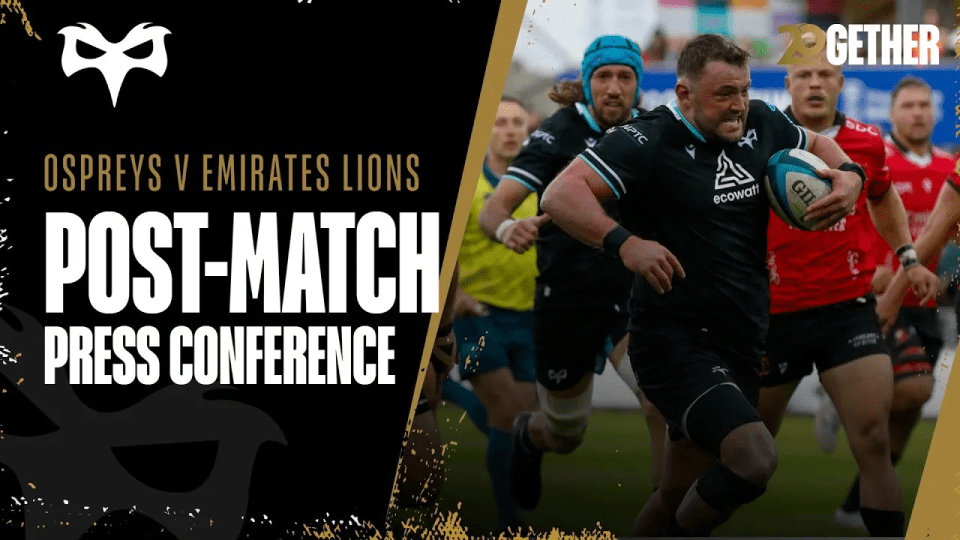 leinster lions