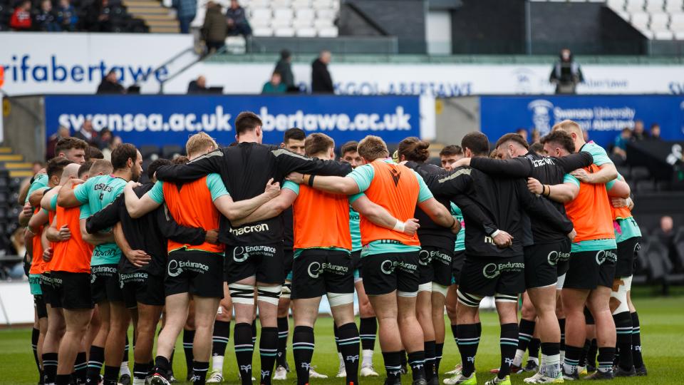 Ospreys huddle