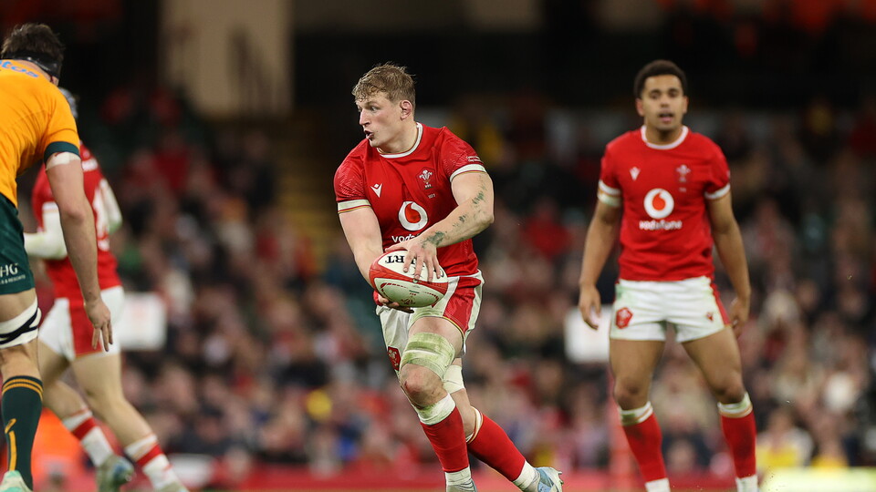 Jac Morgan in the autumn nations series 