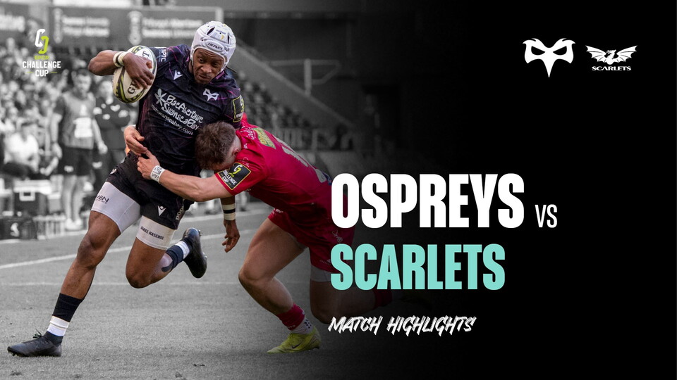 Scarlets knockout highlights