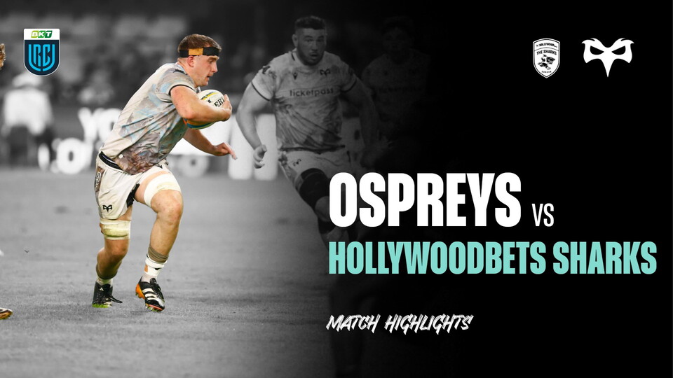 sharks highlights 2025