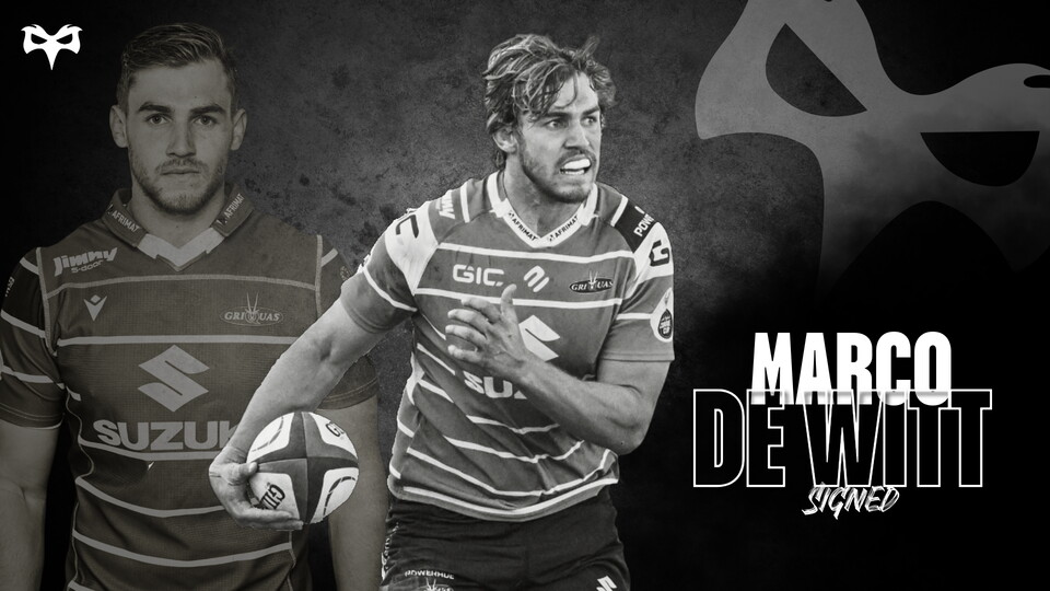 Marco de Witt signs a loan deal to join the Ospreys 
